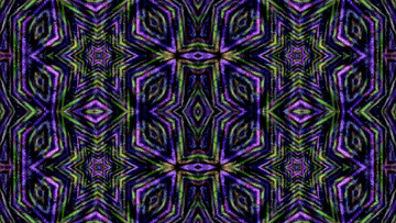 wrap_dmd3.mp4_4.gif